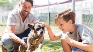 Building a Healthy Relationship with Your Dog